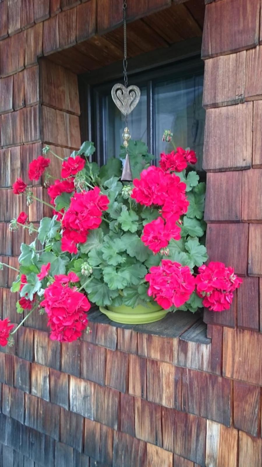 Huettenzauber Taxenbach Buitenkant foto